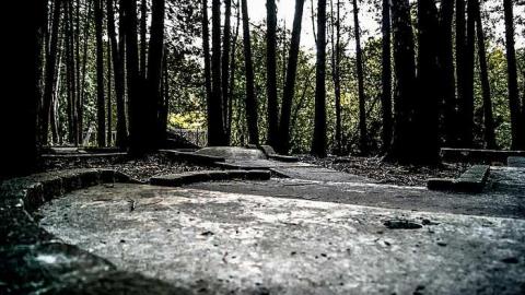 Photo from Cullen Gardens- Patly Mill