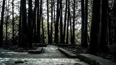 Photo from Cullen Gardens- Patly Mill