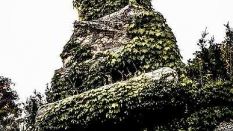 Cullen Gardens- Patly Mill - Patly-Mill-of-Whitby26.jpg