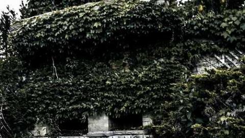 Cullen Gardens- Patly Mill - Patly-Mill-of-Whitby27.jpg