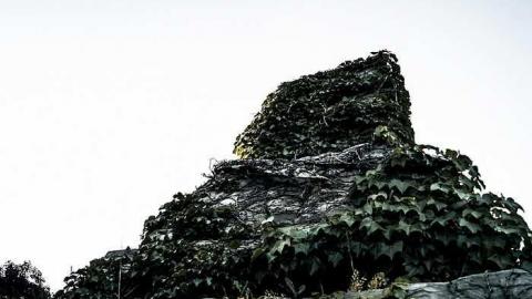 Cullen Gardens- Patly Mill - Patly-Mill-of-Whitby28.jpg