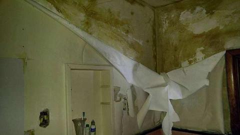 Pyro promblems - j-16931108_1610554208959275_1549099063_o.jpg