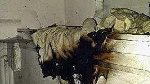 Pyro promblems - r-16933394_1610553332292696_835890840_n.jpg