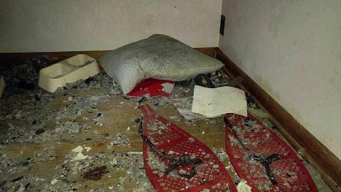 Pyro promblems - r-16990458_1610554255625937_1712904072_o.jpg