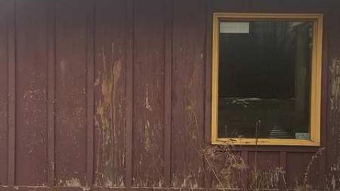 Feb 2017 - IMG_6452.jpg