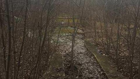 Feb 2017 - IMG_6459.jpg