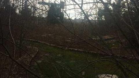 Feb 2017 - IMG_6461.jpg