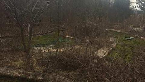 Feb 2017 - IMG_6462.jpg