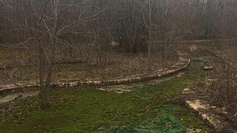 Feb 2017 - IMG_6464.jpg