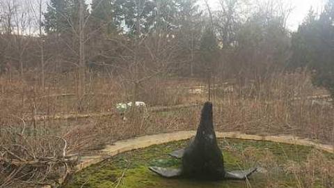 Feb 2017 - IMG_6466.jpg