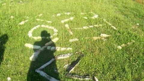 Photo from July 26 2008