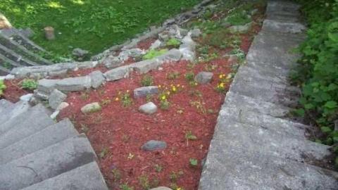 July 26 2008 - Alma-College--St.-Thomas145.jpg