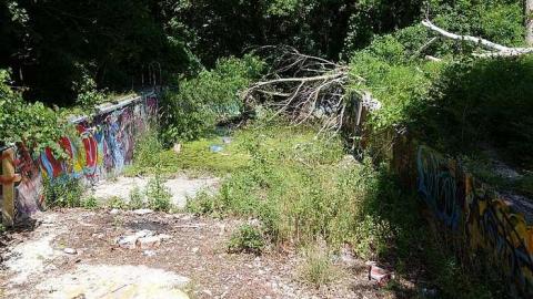 Pool '16 - Abandoned-Pool43.jpg