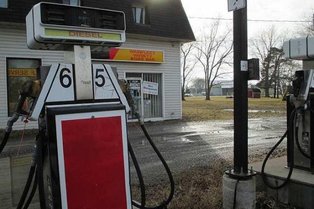 Wainfleet Variety  - IMG_2512.jpg