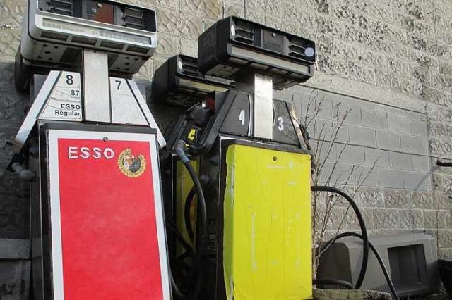 Wainfleet Variety  - IMG_2515.jpg