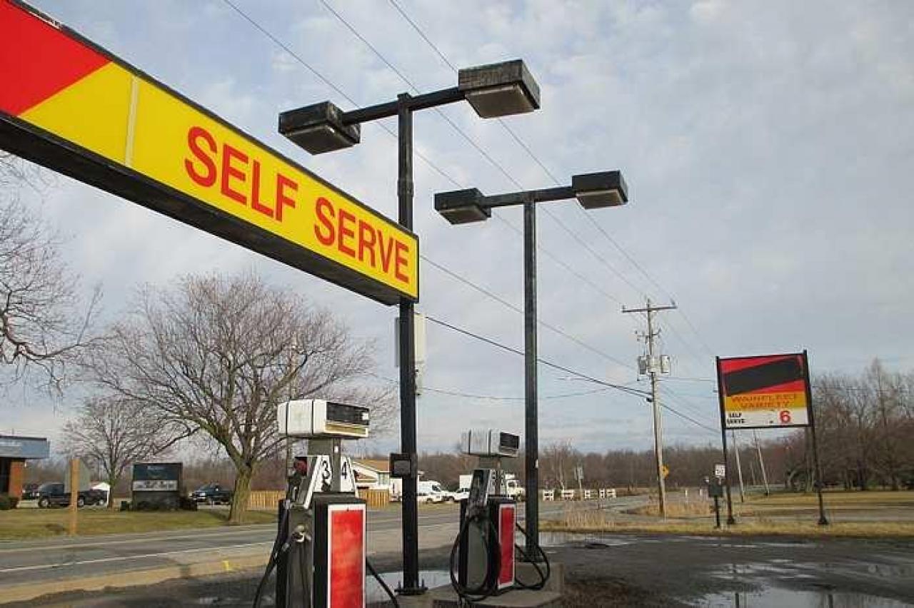 Wainfleet Variety  - IMG_2516.jpg