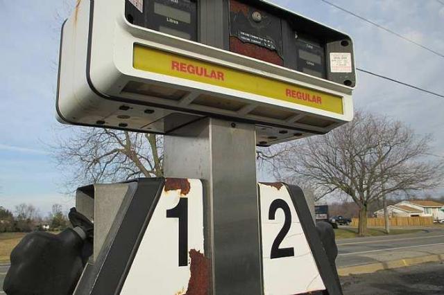 Wainfleet Variety  - IMG_2517.jpg