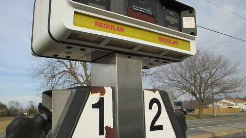 Wainfleet Variety  - IMG_2517.jpg