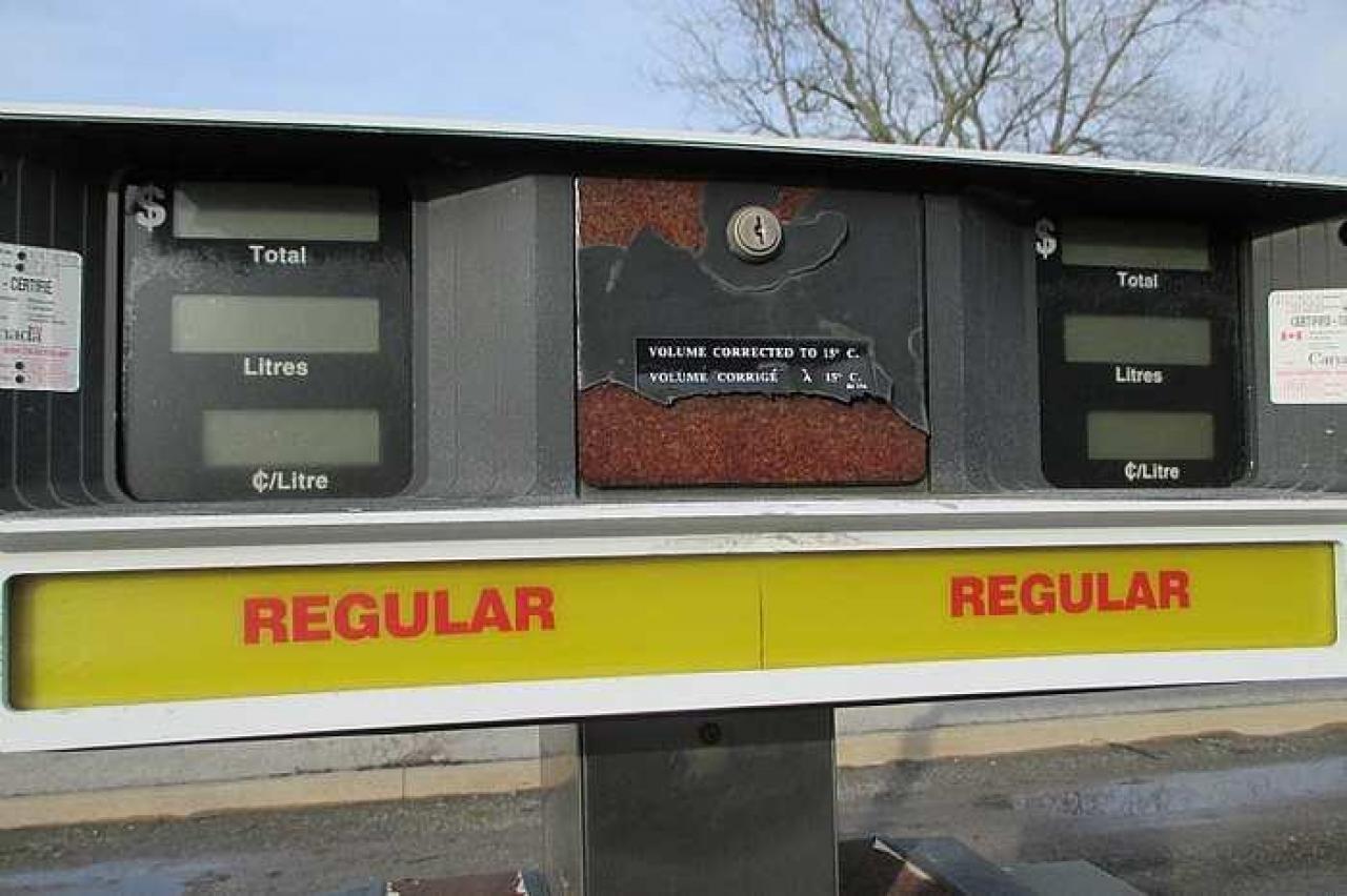 Wainfleet Variety  - IMG_2518.jpg