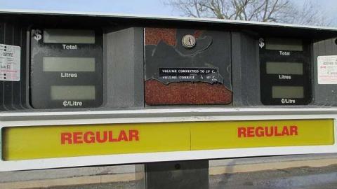 Wainfleet Variety  - IMG_2518.jpg