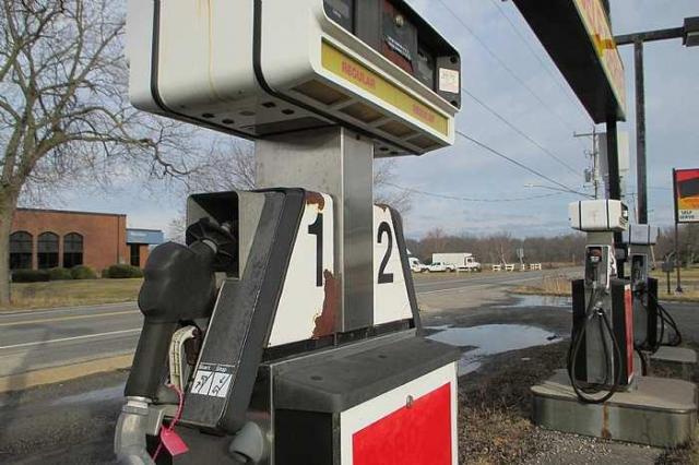 Wainfleet Variety  - IMG_2519.jpg