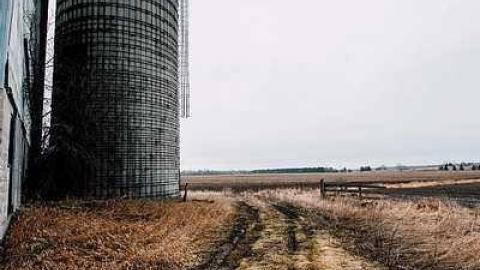 North Whitby 2017 - _MG_7482.jpg