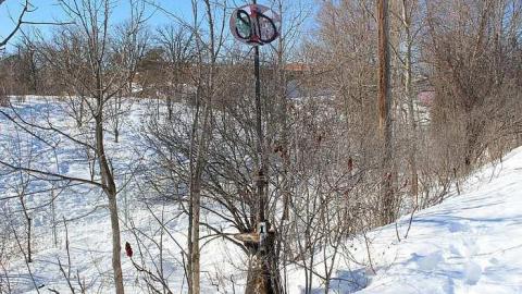 Photo from Prince of Wales Bridge