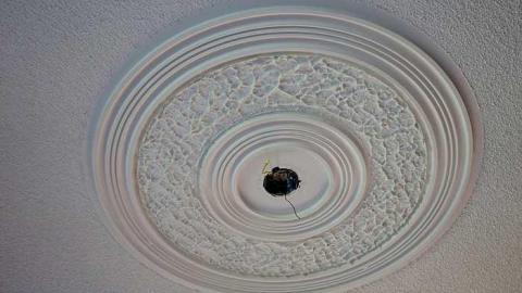 Photo from Beheaded '16