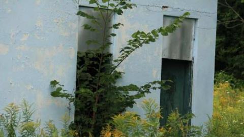 Walker Auto Repair - Minden Hills, Ontario