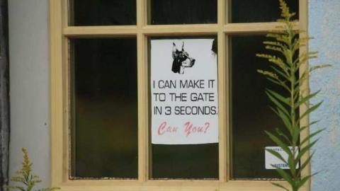 Walker Auto Repair photo 2