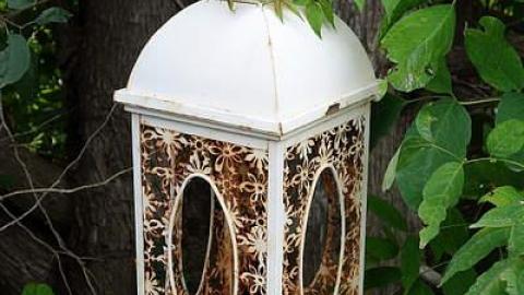 Teddy's Disco '16 - Farmageddon23.jpg