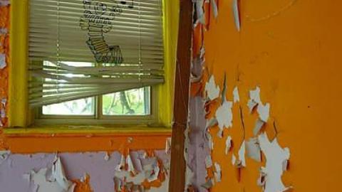 Teddy's Disco '16 - Farmageddon28.jpg