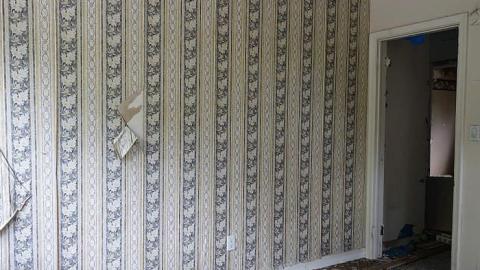 Teddy's Disco '16 - Farmageddon29.jpg