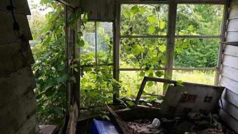 Teddy's Disco '16 - Farmageddon43.jpg