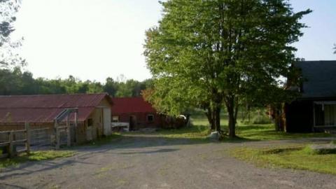 Gallery - Foxmead-(ghost-town)3.jpg