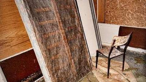 Old photos from my visit - 46-Meadowcliffe-Drive29.jpg