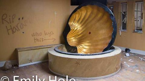 Grow Op Mansion - Abandoned-Grow-Op-Mansion--Drug-Dealers-Mansion--King-City112.jpg