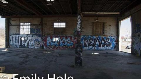 Decorated Walls - Cohen-And-Co-Steel-Distributors8.jpg