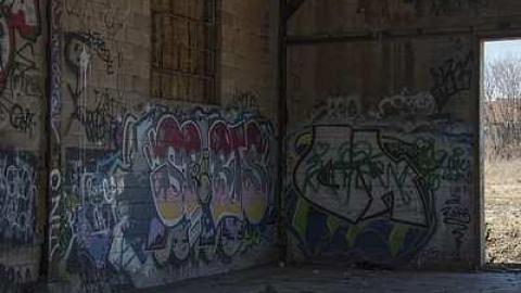 Decorated Walls - Cohen-And-Co-Steel-Distributors18.jpg