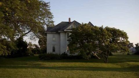 Aug 19 2011 - Stripped-Bare-Port-Burwell27.jpg