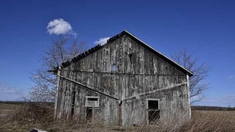 Sarnia Barn 2 photo 5