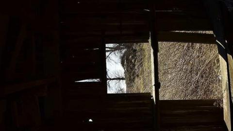 gone - Sarnia-Barn5.jpg