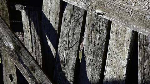 gone - Sarnia-Barn13.jpg