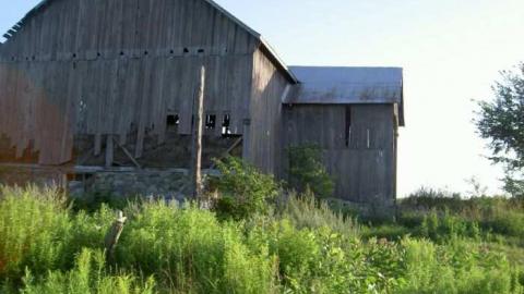 Gallery - Foxmead-(ghost-town)5.jpg