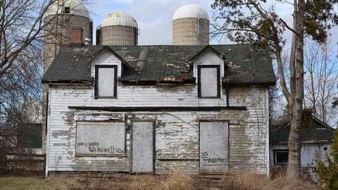 Stay Out Losers photo 2