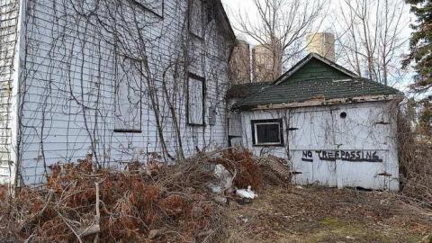 Stay Out Losers photo 3