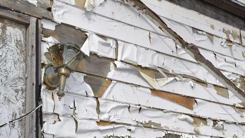 Stay Out Losers - East Gwillimbury, Ontario