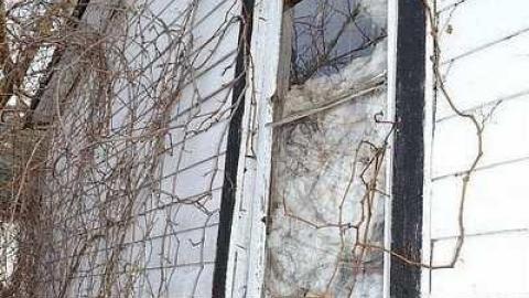 Stay Out Losers photo 5