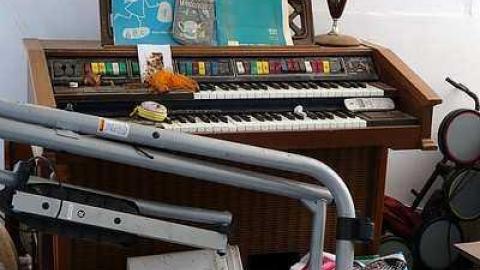 Rock Lobster '16 - Maplegrove-No.-524.jpg