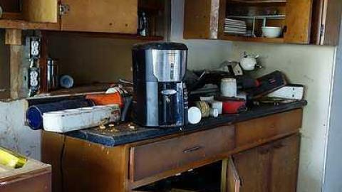 Rock Lobster '16 - Maplegrove-No.-525.jpg